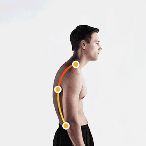 Posture Perfect Back Support