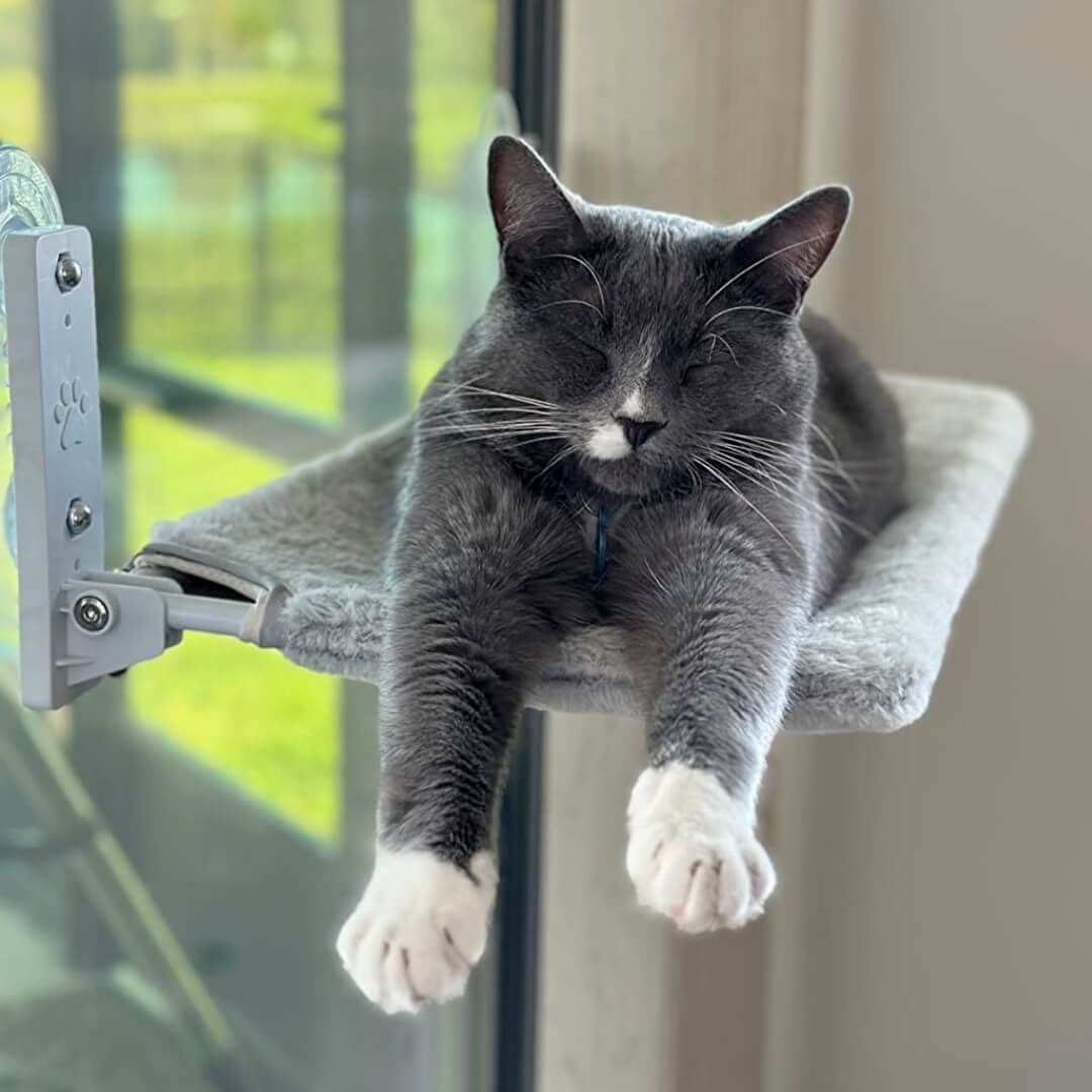 Nymock Cozy Cat Lounger