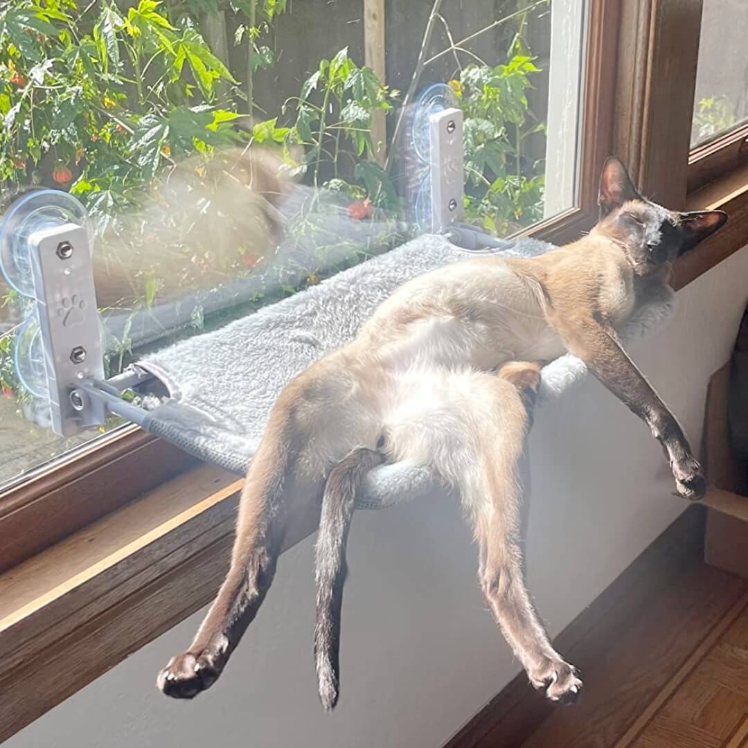 Nymock Cozy Cat Lounger