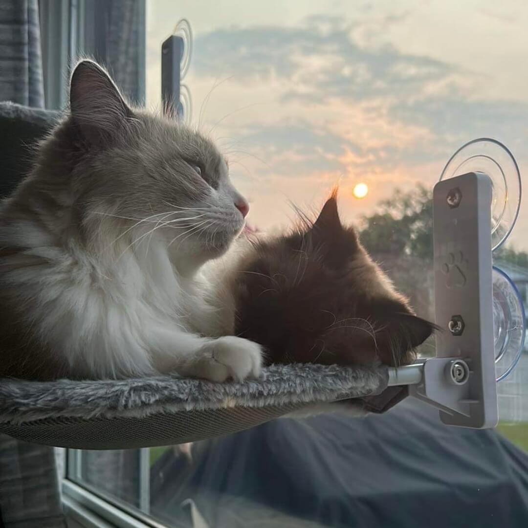 Nymock Cozy Cat Lounger