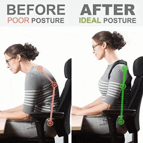 Posture Perfect Back Support