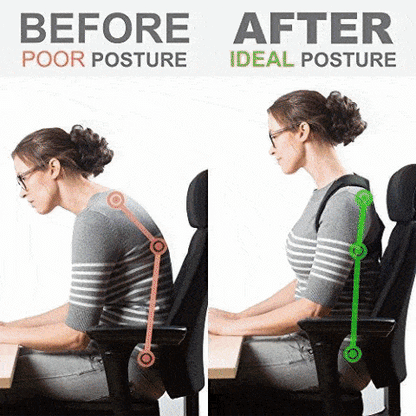 Posture Perfect Back Support