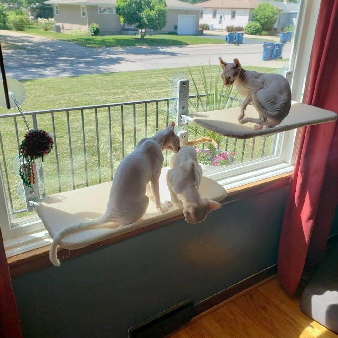 Nymock Cozy Cat Lounger