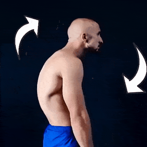 Posture Perfect Back Support