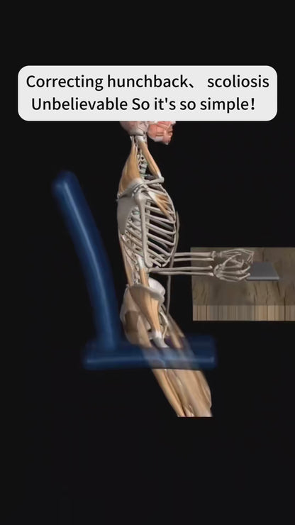 Posture Perfect Back Support